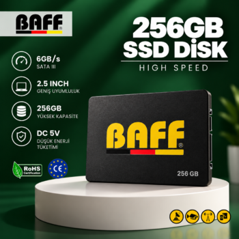 BAFF 256GB SSD DISK